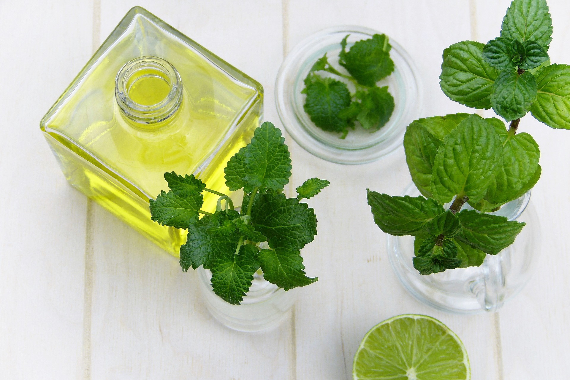 elaborar unguentes con aceite de oliva