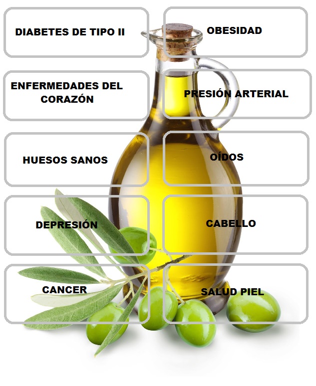 calorias aceite oliva